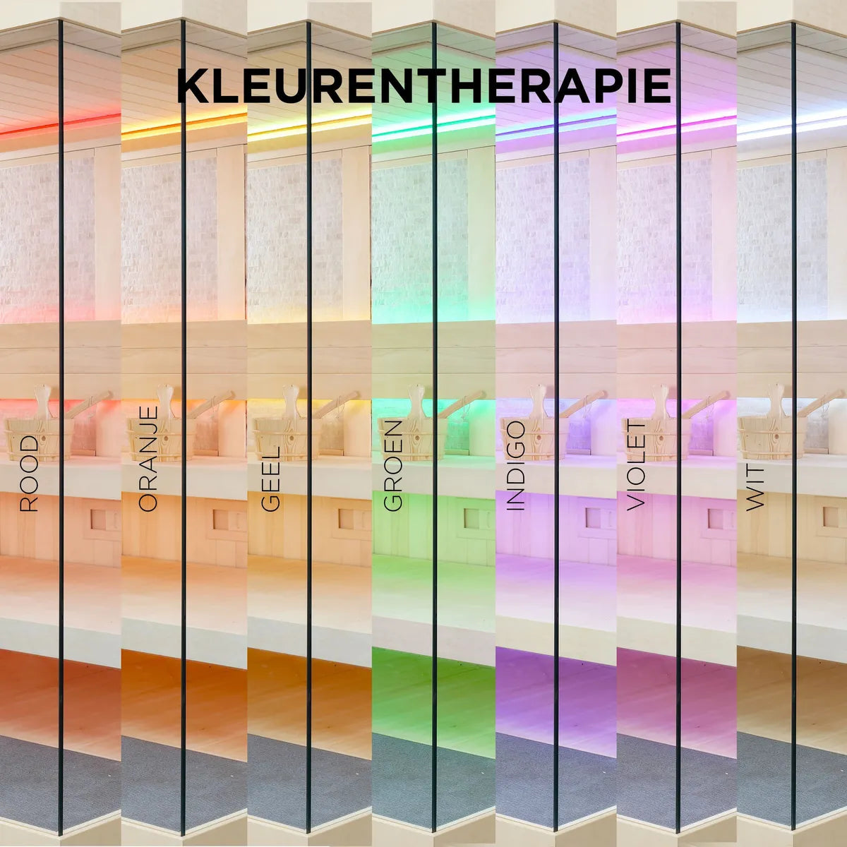Indoor sauna interior under colour therapy lighting